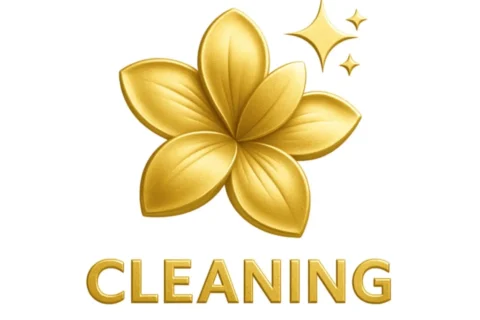 Anita Cleaning Services