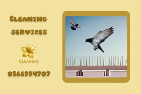 pigeon repeller installation