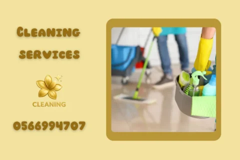 Villa Cleaning in Dubai