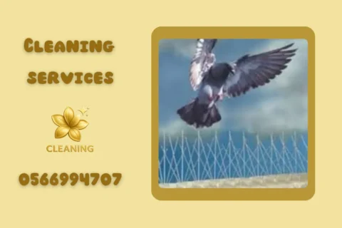 pigeon repeller installation