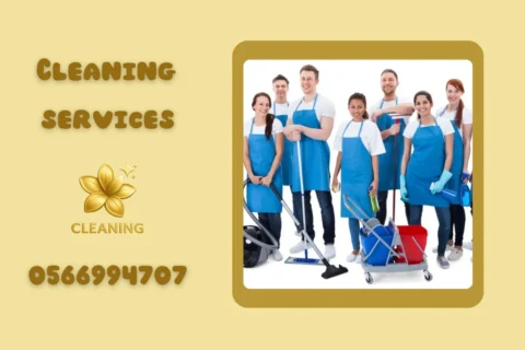 Villa Cleaning