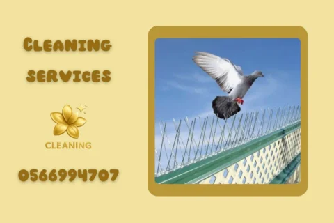 تركيب طارد طيور في دبي