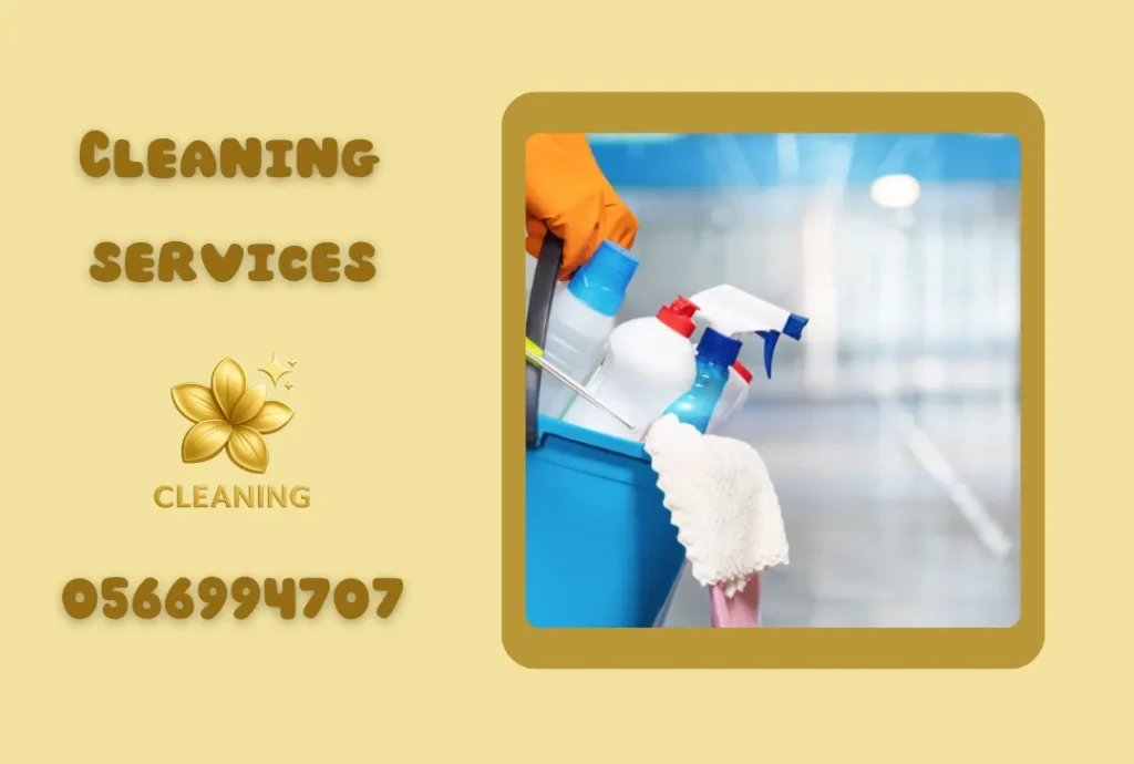 House Cleaning Services
