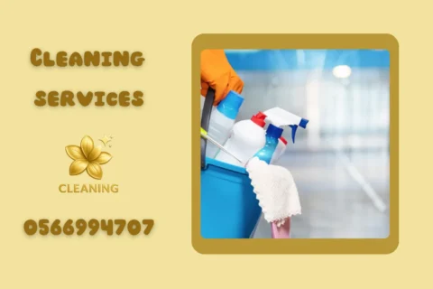 House Cleaning Services