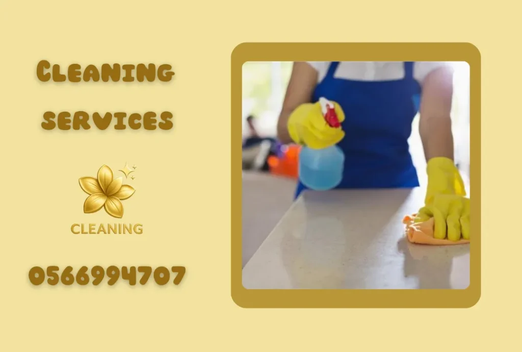 House Cleaning Services