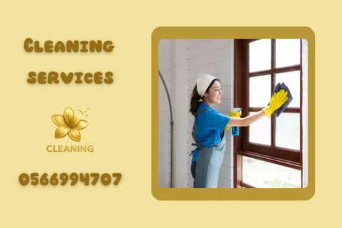 House Cleaning Services