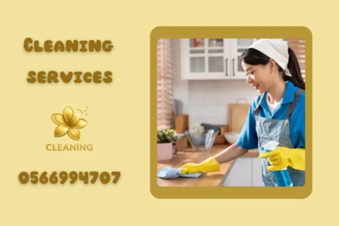 House Cleaning Services