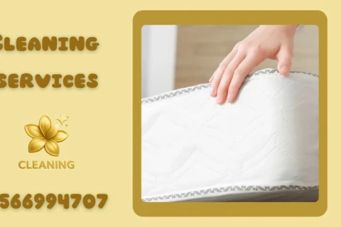Mattress Cleaning