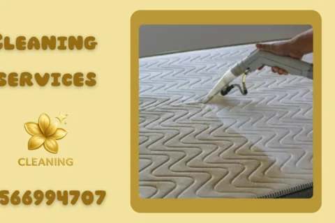 Mattress Cleaning