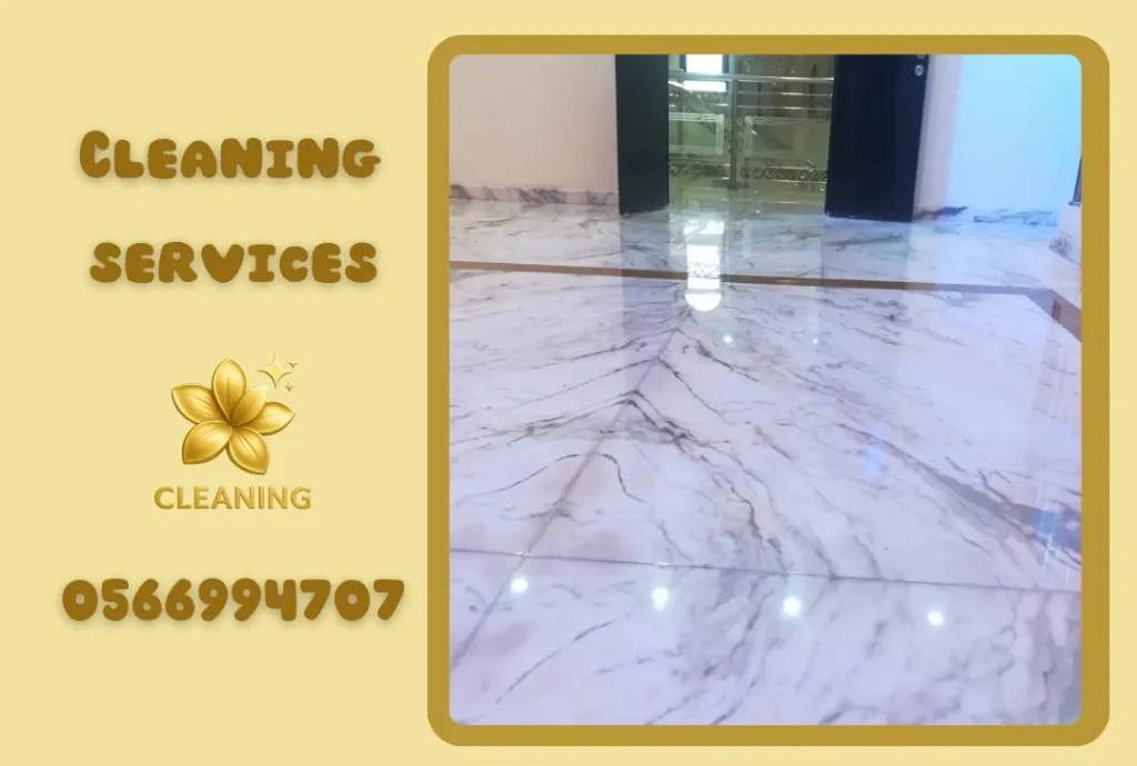 Floor Cleaning